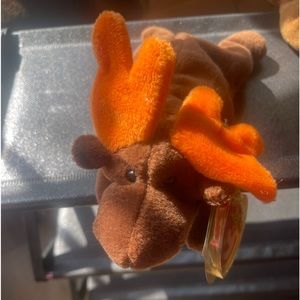 Ty moose and friend moose sealed tag